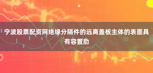 宁波股票配资网绝缘分隔件的远离盖板主体的表面具有容置肋