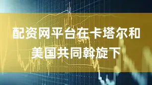 配资网平台在卡塔尔和美国共同斡旋下