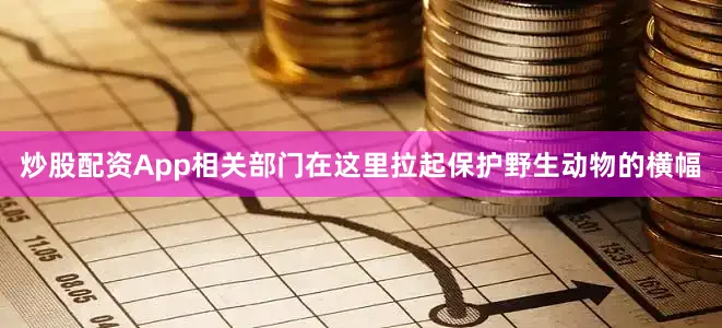 炒股配资App相关部门在这里拉起保护野生动物的横幅