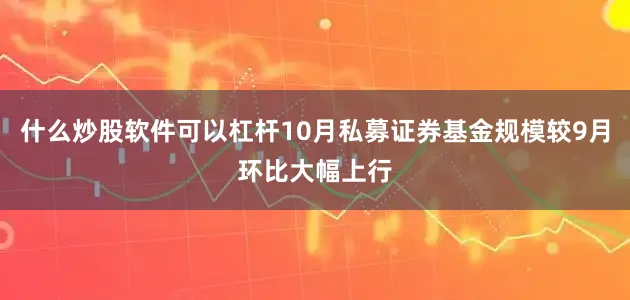 什么炒股软件可以杠杆10月私募证券基金规模较9月环比大幅上行